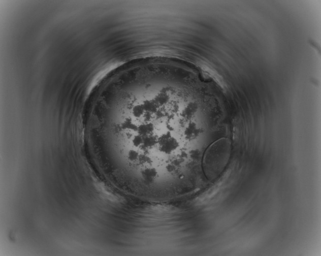 X0000092041117200709121148