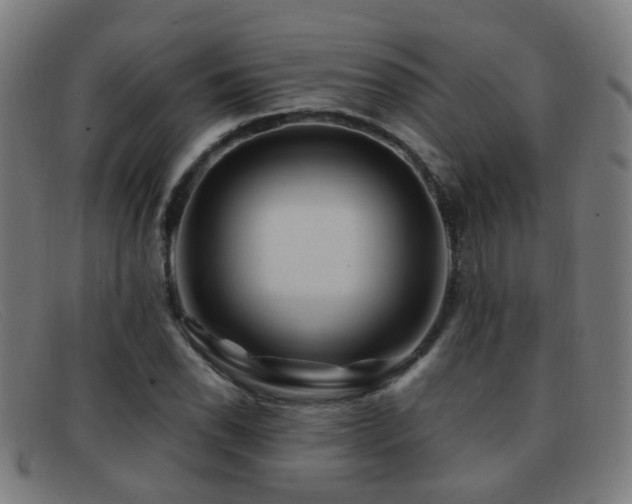 X0000092041118200709121148
