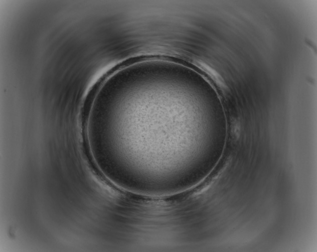 X0000092041120200709121148