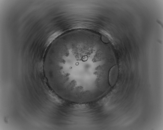 X0000092041121200709121148