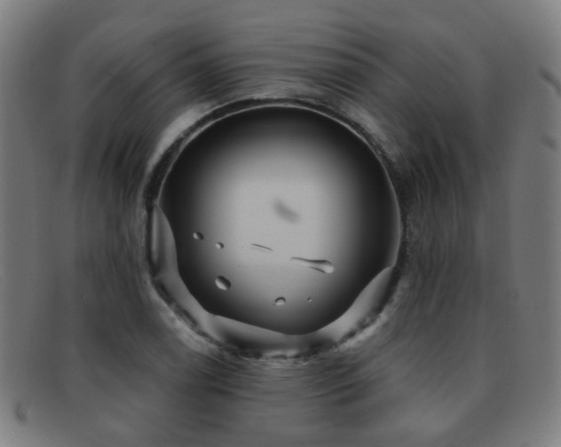 X0000092041122200709121148
