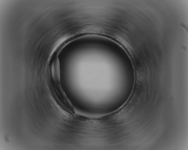 X0000092041123200709121148