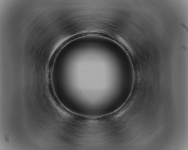 X0000092041124200709121148