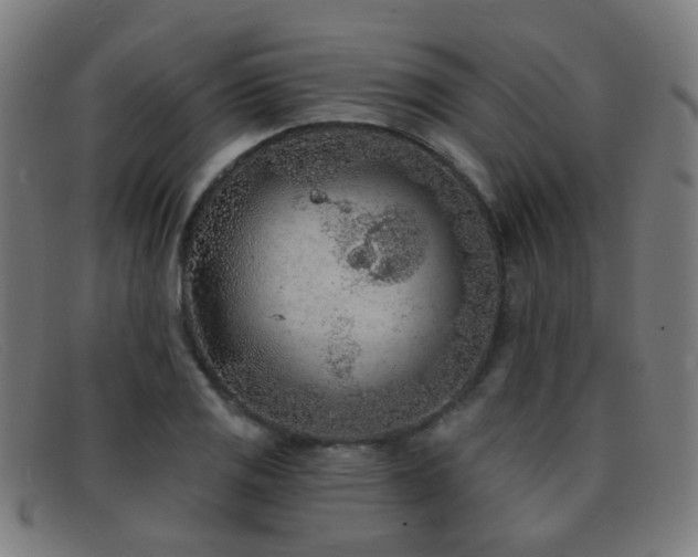 X0000092041125200709121148