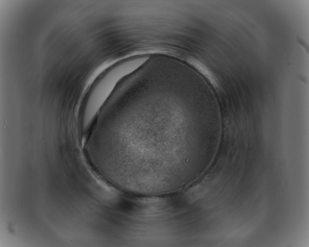 X0000092041127200709121148