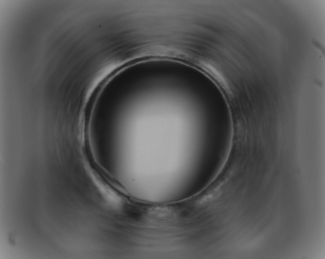 X0000092041128200709121148