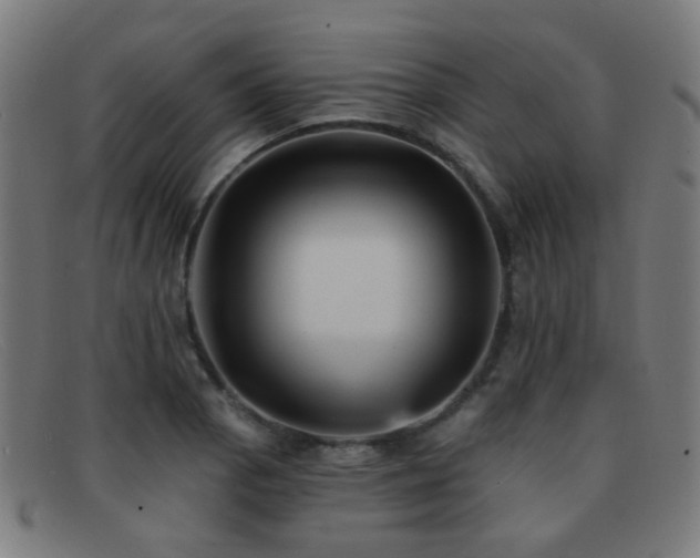 X0000092041129200709121148