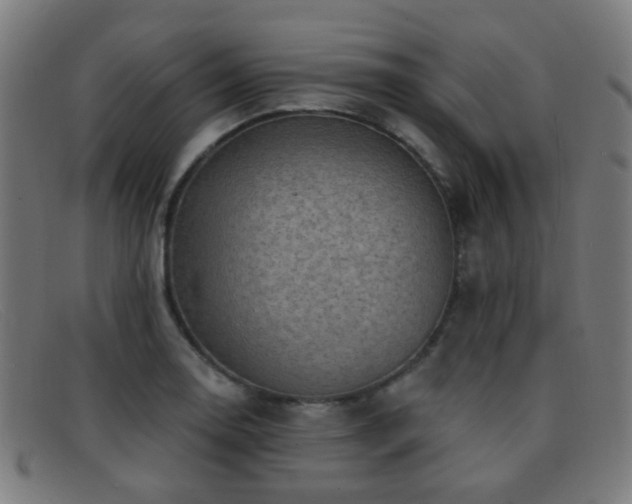 X0000092041130200709121148