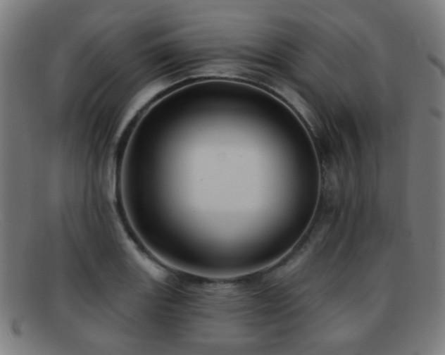 X0000092041131200709121148