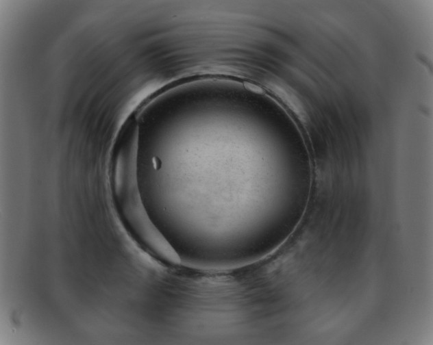 X0000092041133200709121148