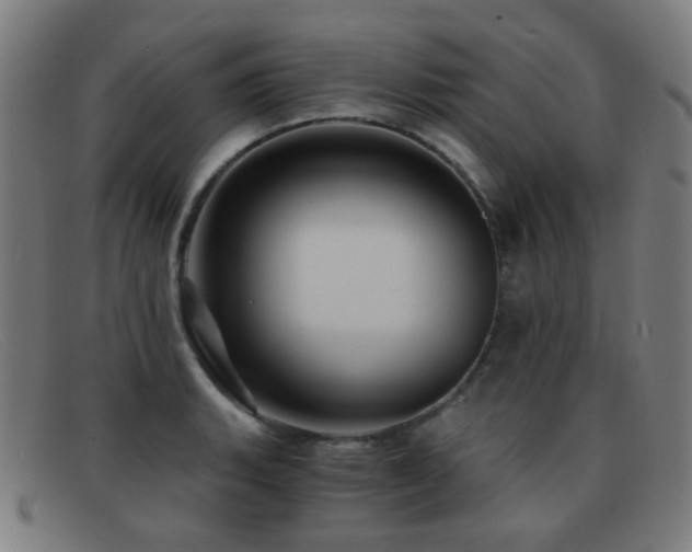 X0000092041135200709121148