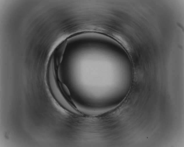 X0000092041136200709121148