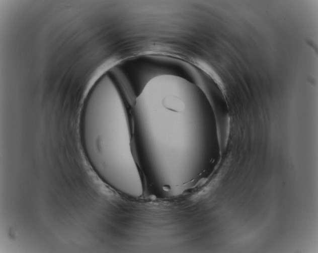 X0000092041138200709121148