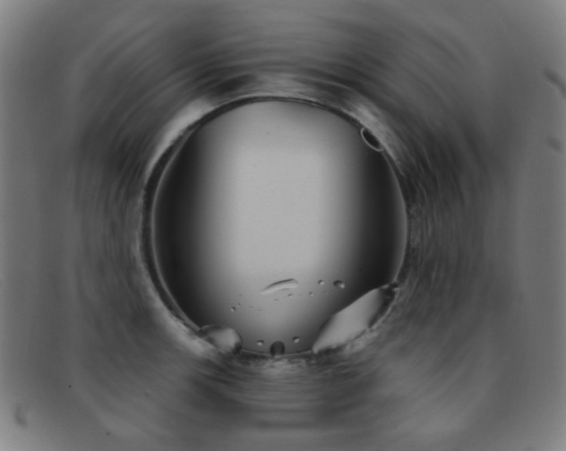 X0000092041139200709121148