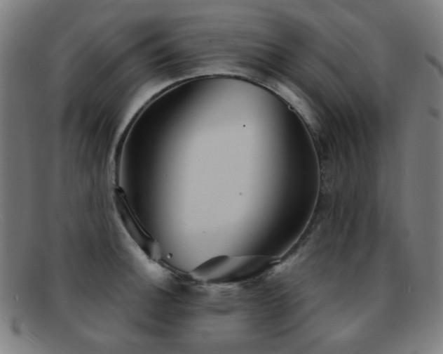 X0000092041140200709121148