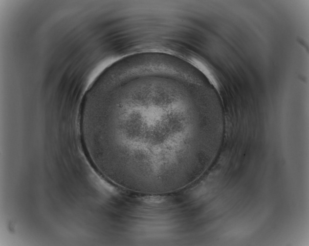 X0000092041141200709121148