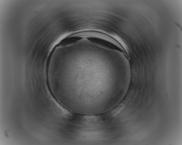 X0000092041142200709121148