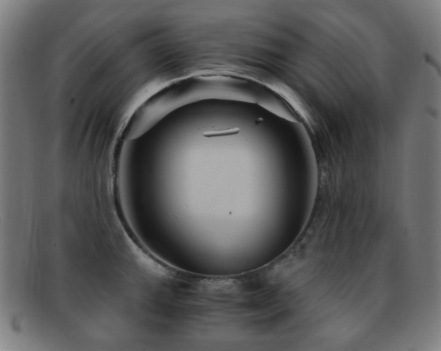X0000092041143200709121148