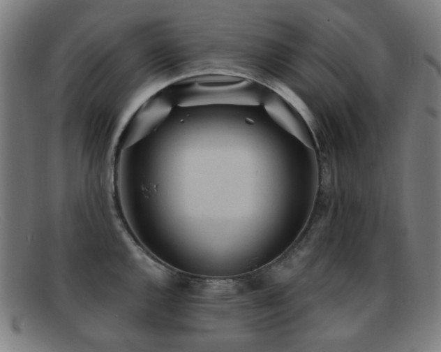 X0000092041144200709121148