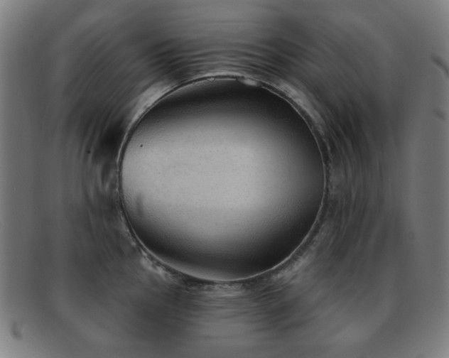 X0000092041145200709121148