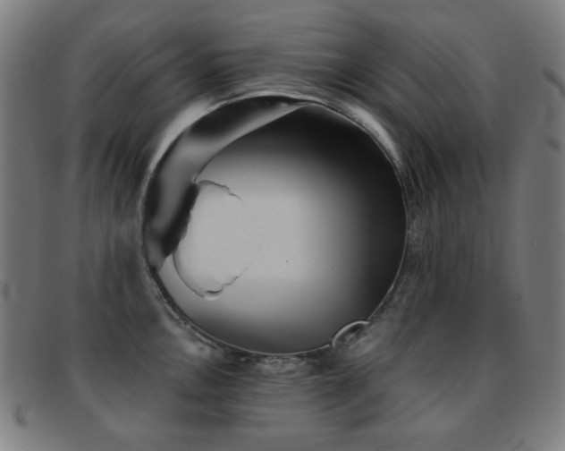 X0000092041146200709121148