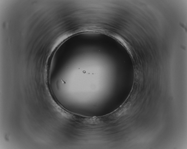 X0000092041147200709121148