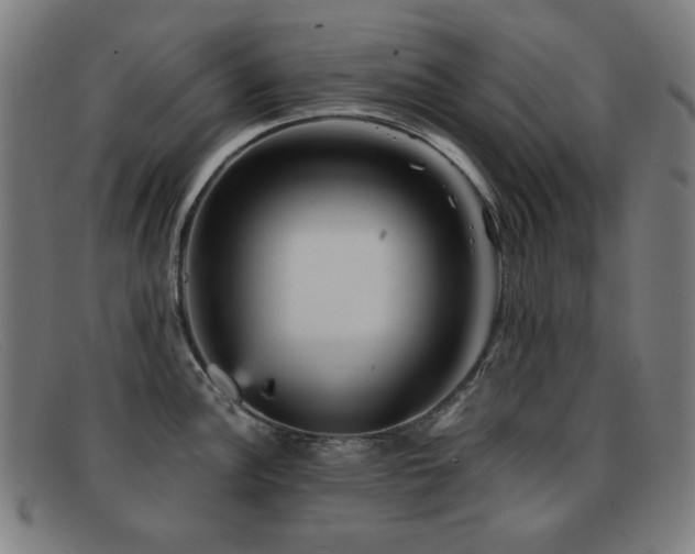 X0000092041148200709121148