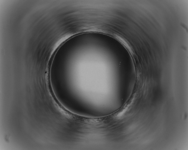 X0000092041149200709121148