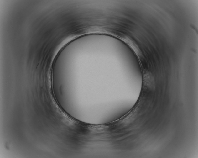 X0000092041150200709121148