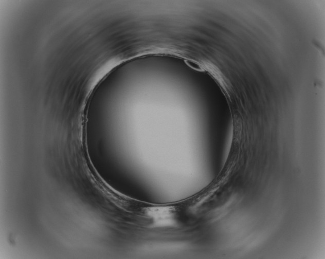 X0000092041151200709121149