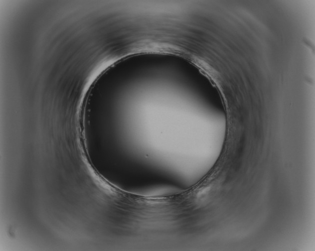 X0000092041152200709121149