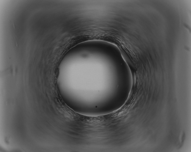 X0000092041153200709121148