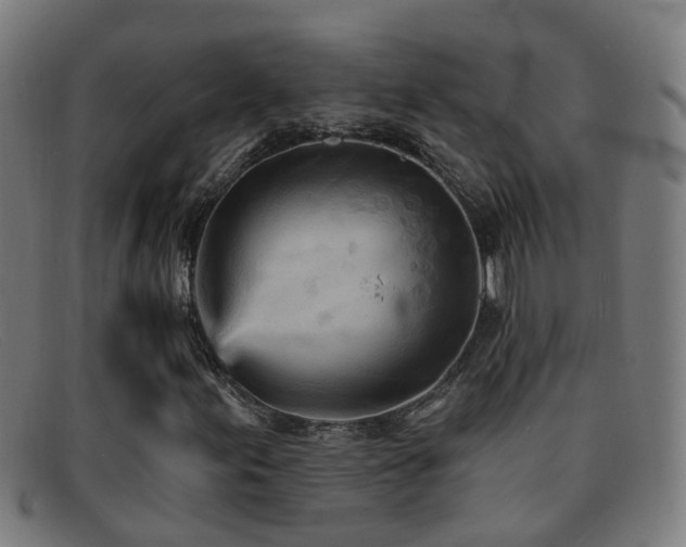 X0000092041155200709121148