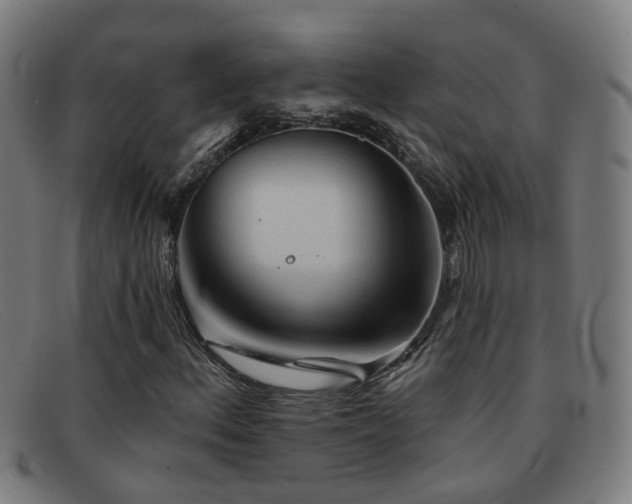 X0000092041156200709121148