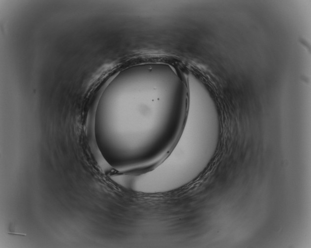 X0000092041157200709121148
