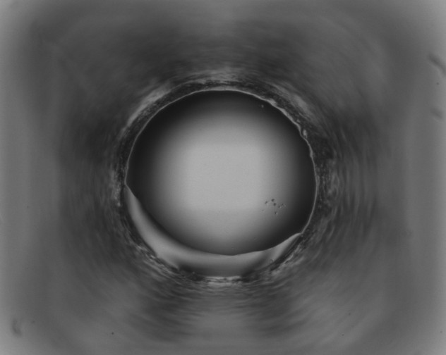 X0000092041160200709121148