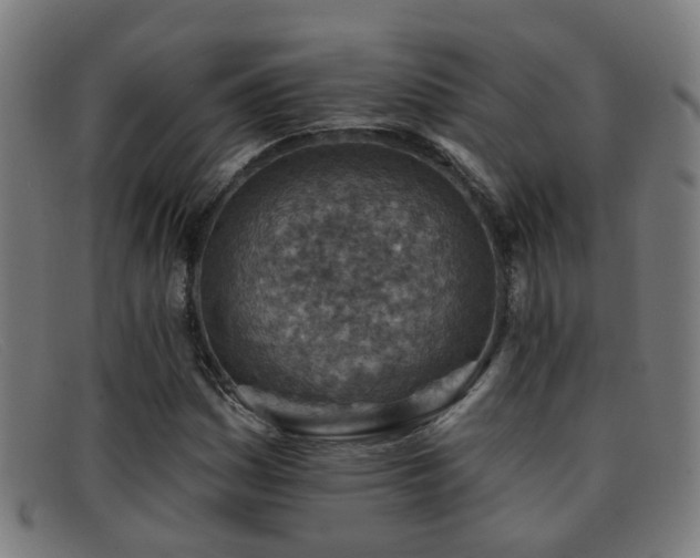 X0000092041161200709121148