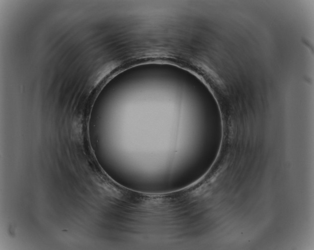 X0000092041162200709121148