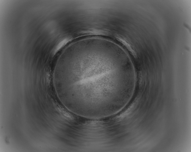 X0000092041163200709121148