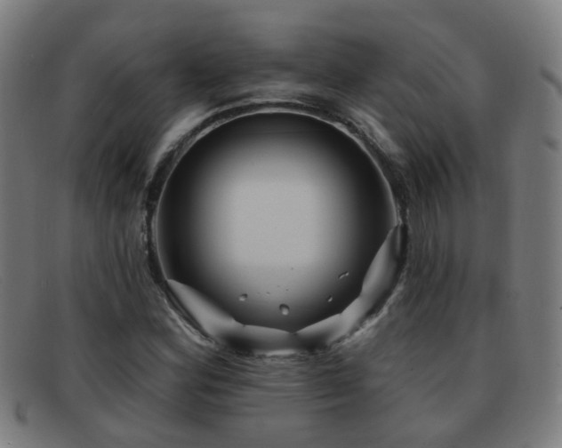 X0000092041164200709121148