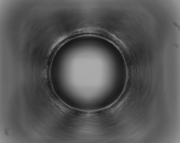 X0000092041166200709121148