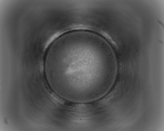 X0000092041167200709121148