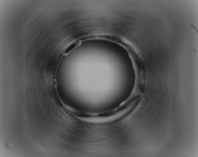 X0000092041169200709121148