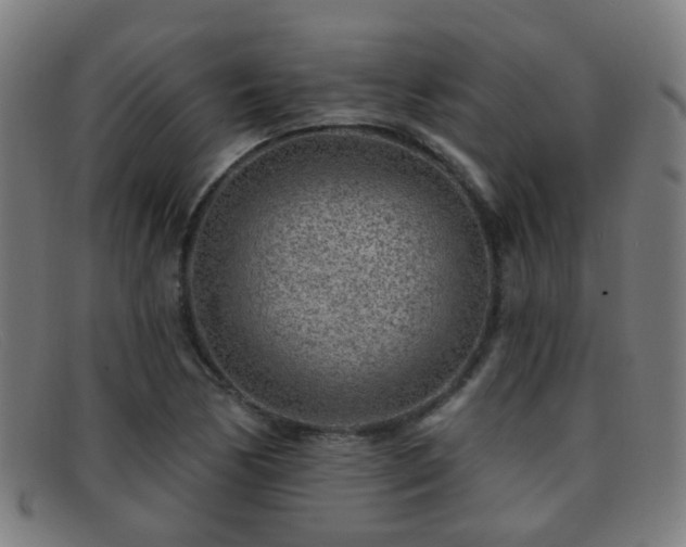 X0000092041170200709121148