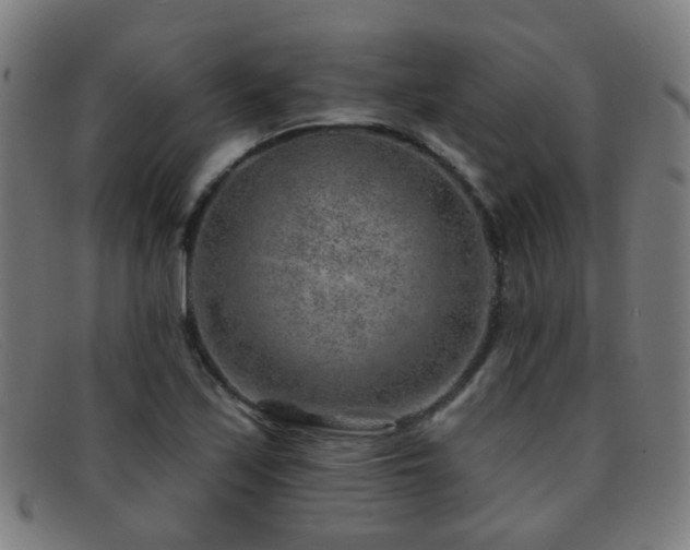 X0000092041171200709121148