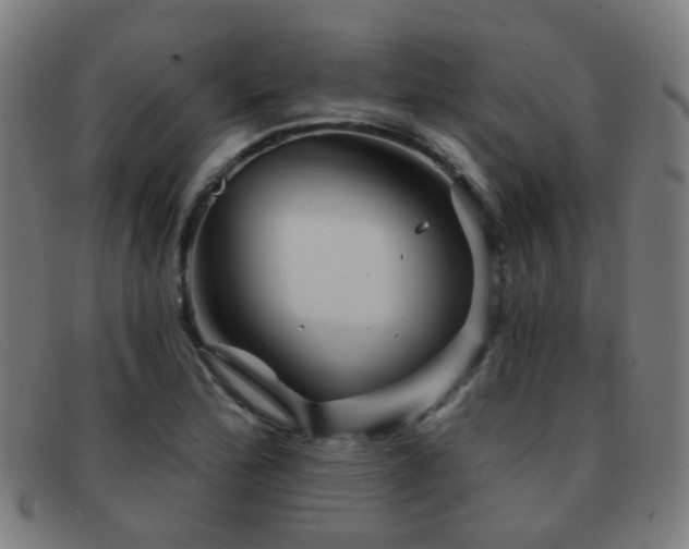 X0000092041172200709121148