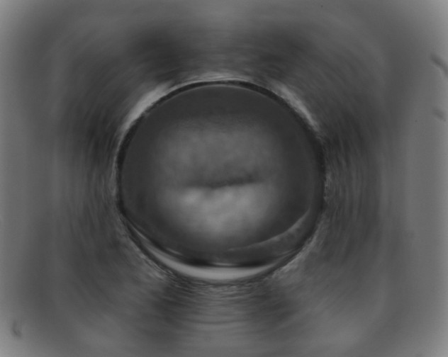 X0000092041173200709121148