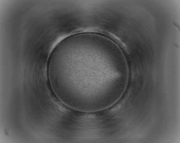 X0000092041174200709121148