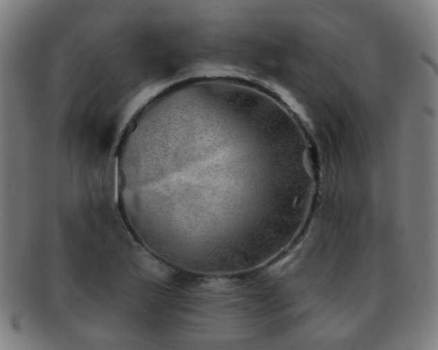 X0000092041175200709121148