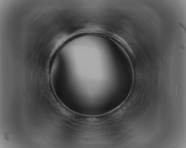 X0000092041176200709121148